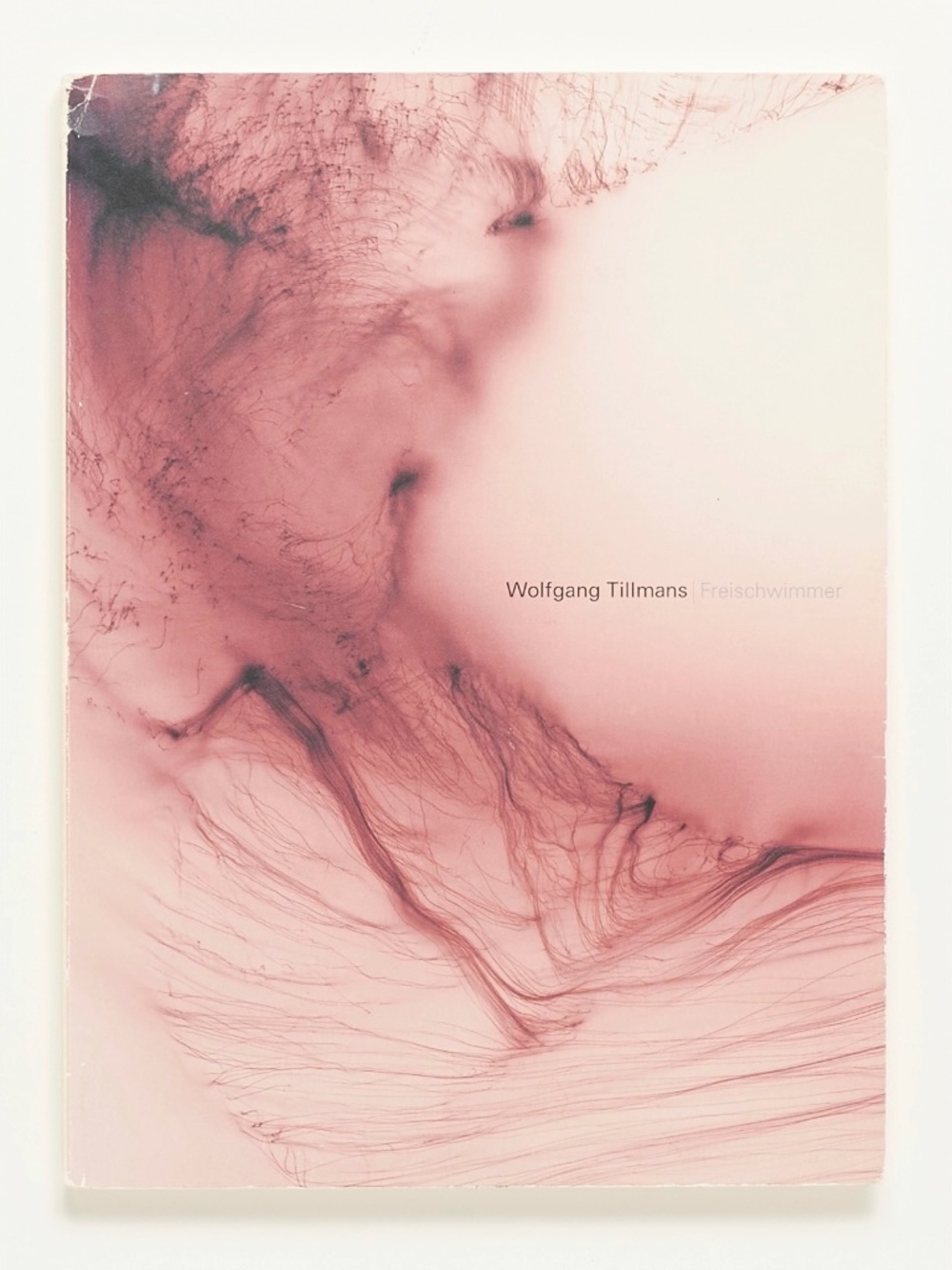 Wolfgang Tillmans: Freischwimmer - Tokyo Opera City Art Gallery, 2004